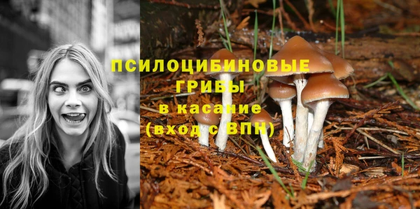 прущие крисы Алексин
