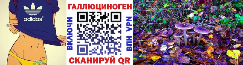 закладки  Далматово  omg ссылка  Псилоцибиновые грибы MAGIC MUSHROOMS 